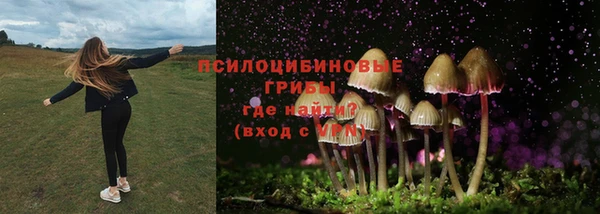 a pvp Верея
